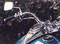 Kawasaki Vulcan 800 Classic